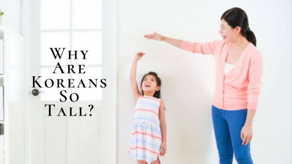Why Are Koreans Tall? Unexpected Reason Behind Why Koreans Are Taller!